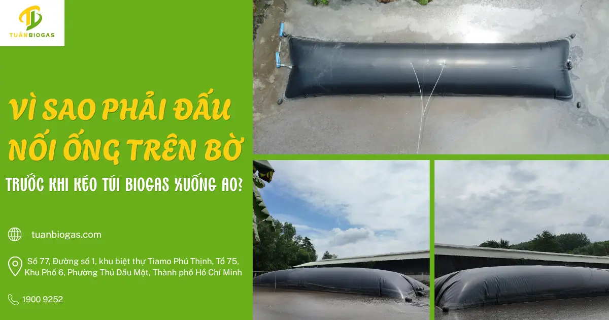 Vì Sao Phải Đấu Nối Ống Trên Bờ Trước Khi Kéo Túi Biogas Xuống Ao?